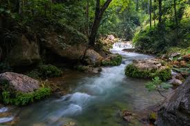 Mental Health Benefits of Outdoor Activities - How Stean Gorge 4 Nature is beneficial to mental health